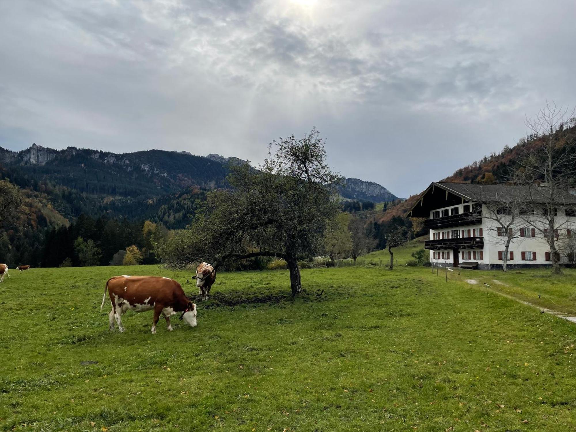 Ferienwohnung Berglodge Chiemsee Aschau im Chiemgau Exterior photo